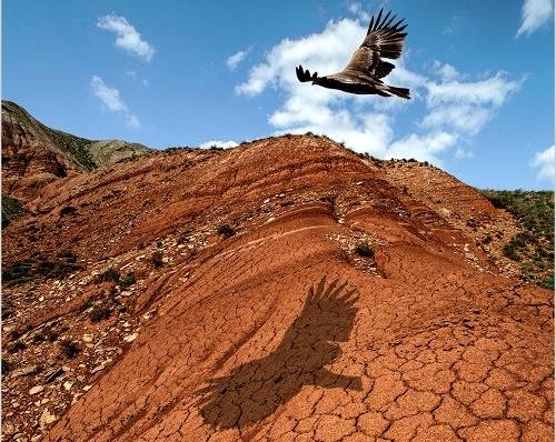 Блогеры советуют отдохнуть на майские в Астраханской области