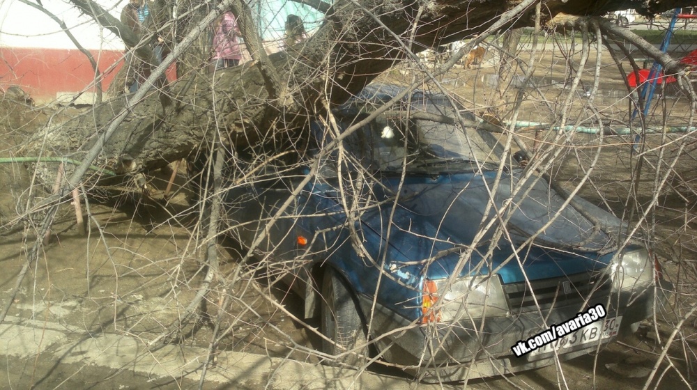 Месть природы: в Астрахани автомобиль прибило деревом