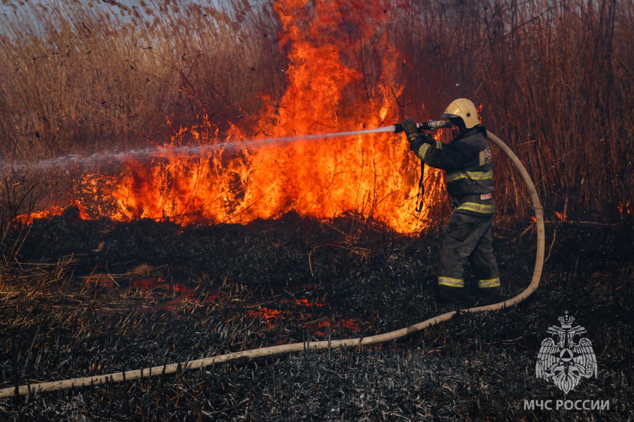 В Астрахани одновременно тушили два крупных камышовых пожара