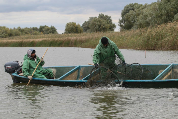 КаспНИРХ: осенний паводок может пагубно сказаться на рыбном хозяйстве региона