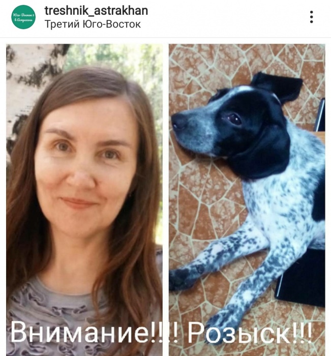 Собака вернулась домой без хозяйки: в Астрахани пропала женщина