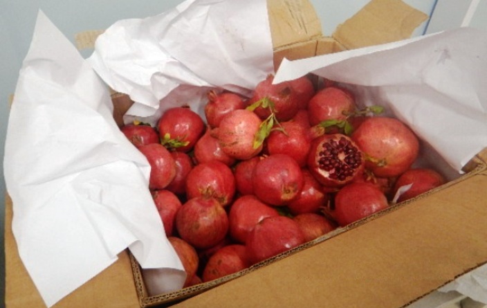 В аэропортах Астрахани и Волгограда таможенники изъяли у 13 пассажиров гранаты