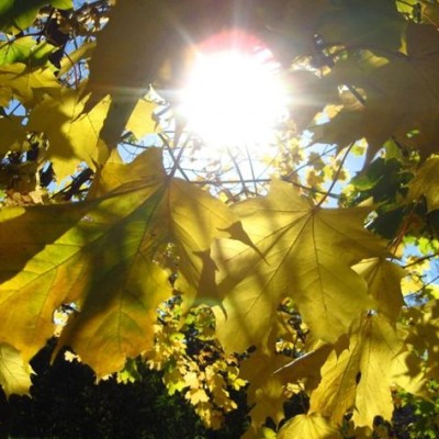 Астраханская погода в ноябре