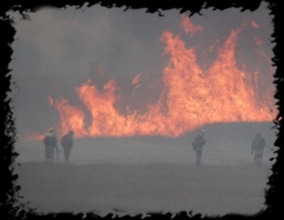 В Астрахани экспедиция Гринпис тушит лесные пожары