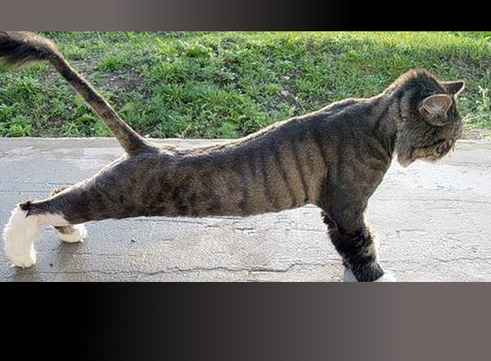 Александр Жилкин тут упал, там отжался