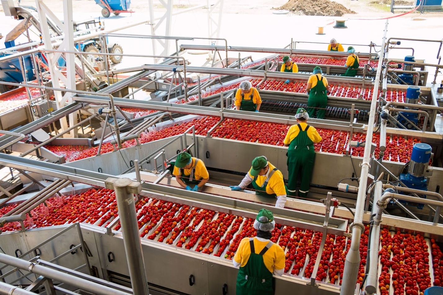 В Астраханской области в этом году запустят завод за 8 миллиардов рублей