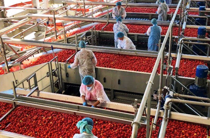 Мощности астраханских перерабатывающих предприятий выросли до 550 тыс. тонн, хранилищ  - до  233 тыс. тонн