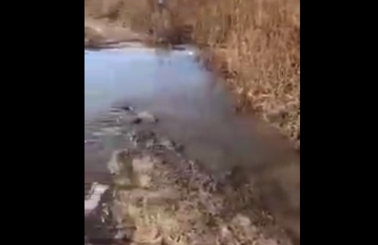 Аномальный паводок в Астраханской области попал на видео