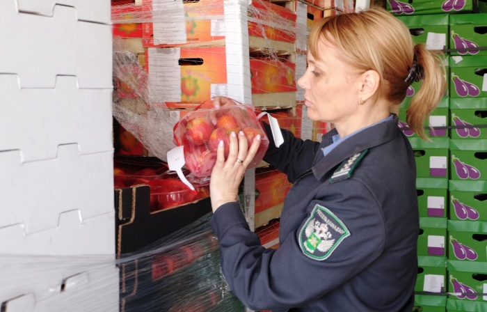 Из Астраханской области вернули в Казахстан 57 тонн абрикосов, лимонов и нектаринов