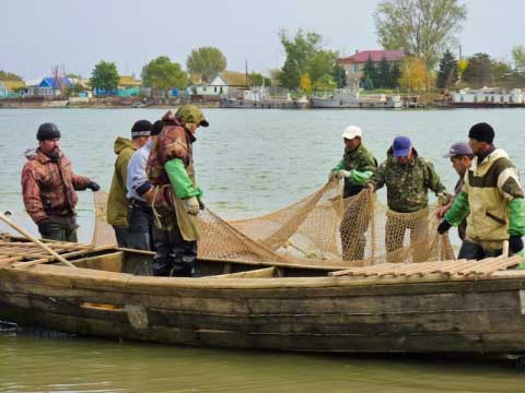 Астраханских рыбаков призывают выйти из «тени»