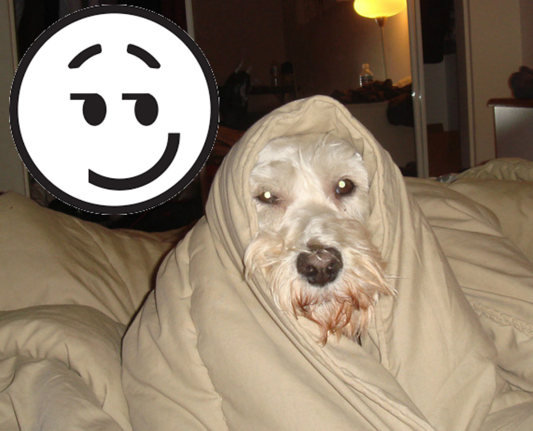 «Нет плохой погоды, есть недостаток отопления». Обзор соцсетей