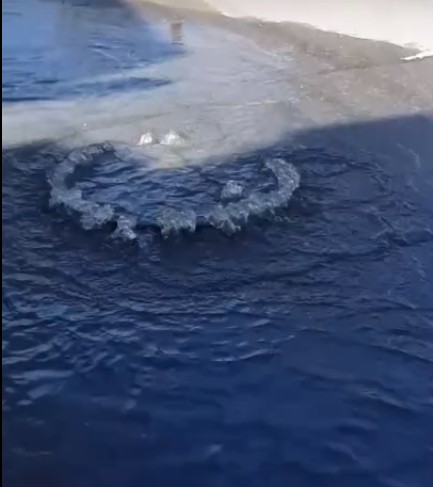 ЗаSHITим наш город: астраханская улица утонула в фекалиях (ВИДЕО)