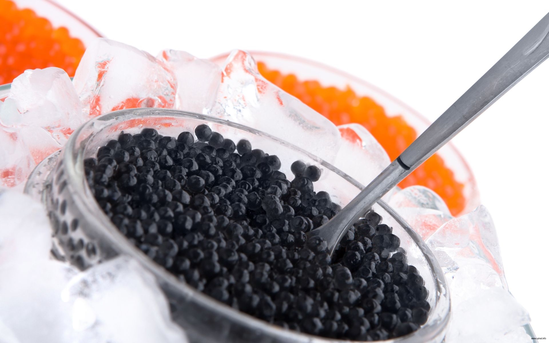 На астраханской границе в багажнике авто обнаружили 16 кг черной икры