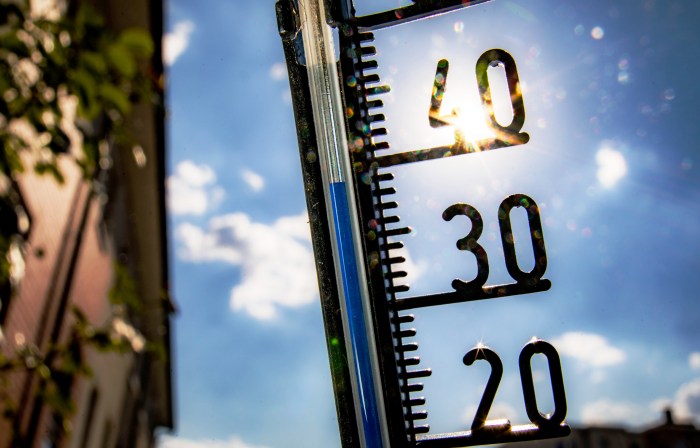 МЧС предупреждает: с четверга в Астраханской области жара подскочит до +41°С