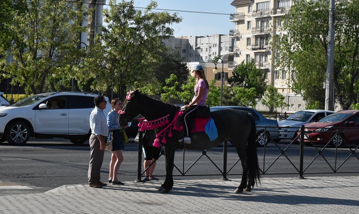 Администрация Астрахани мечтает перенести конные прогулки с центра на Городской остров