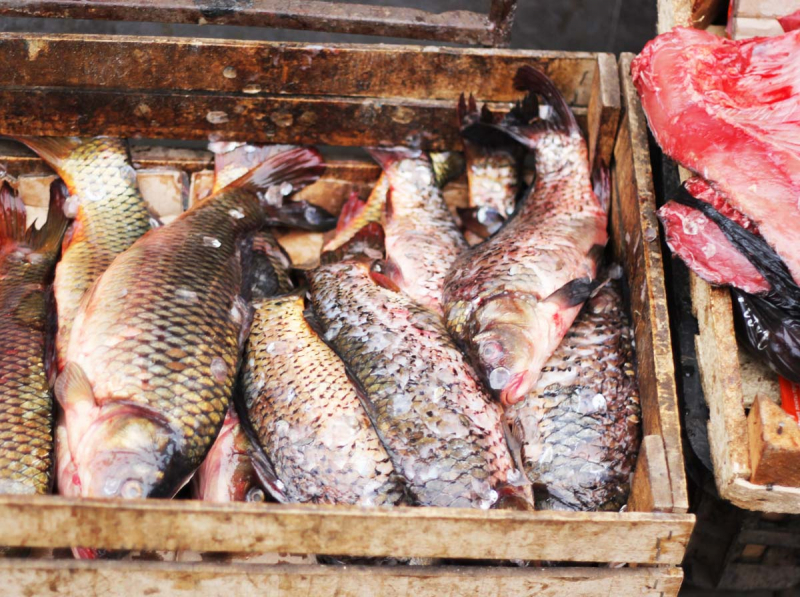 Продавцы на Больших Исадах заявили, что им неудобно работать по закону