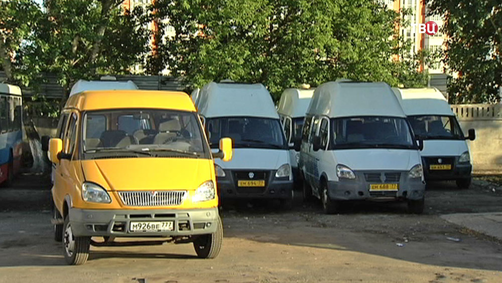 Радость дня: проезд в маршрутках не подорожает в ближайшее время