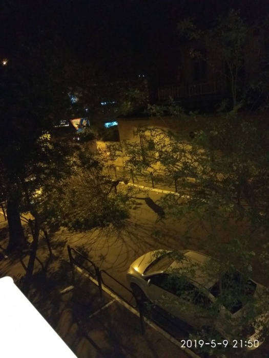 Астраханские спасатели мгновенно убрали упавшее дерево, и вот почему