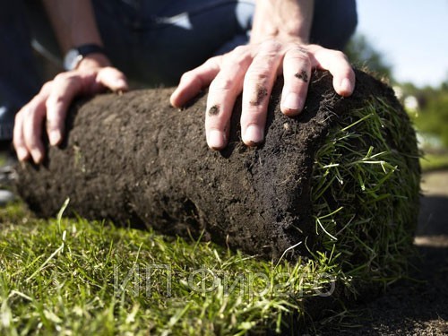 В центре Астрахани укладывают газон