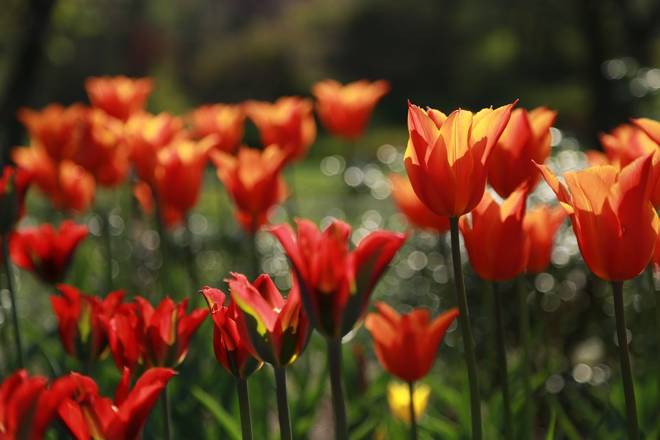 Снесет и смоет. Известен долгосрочный, но неприятный майский прогноз погоды в Астрахани 