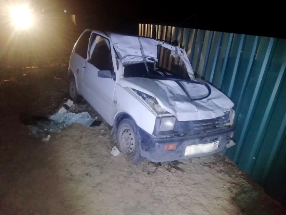 Встреча с лошадью на дороге обернулась для астраханского пенсионера многочисленными ранами и больницей 