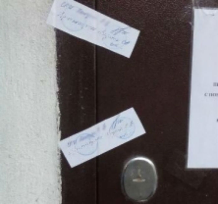 В Астрахани из-за кошки закрылась хлебопекарня