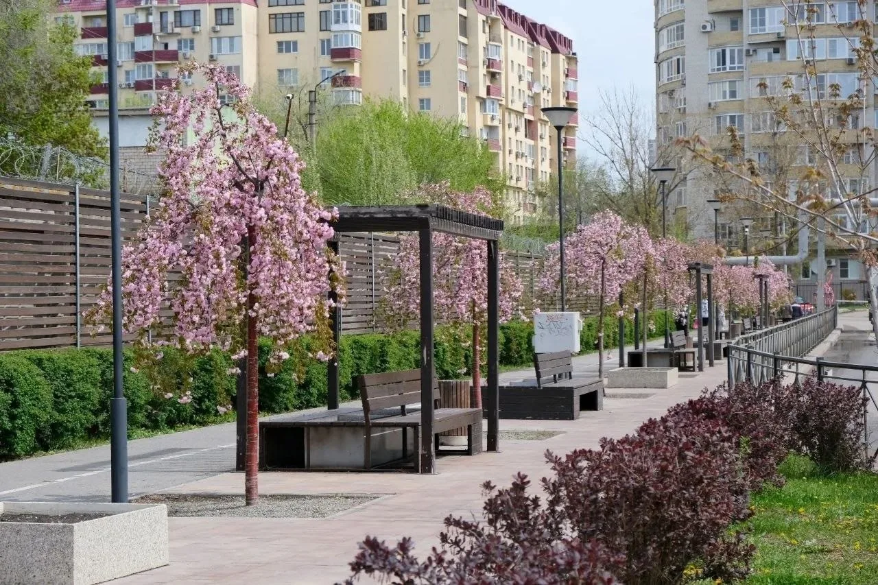 Завтра погода в Астрахани прибавит градус, но будет ветрено