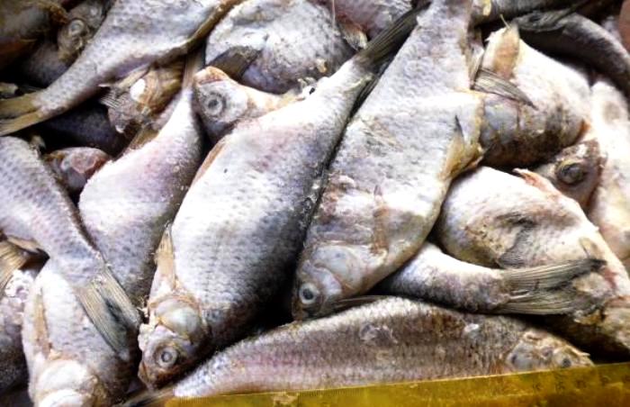 В Астраханской области не пропустили более 2,5 тонн просроченной воблы из Казахстана