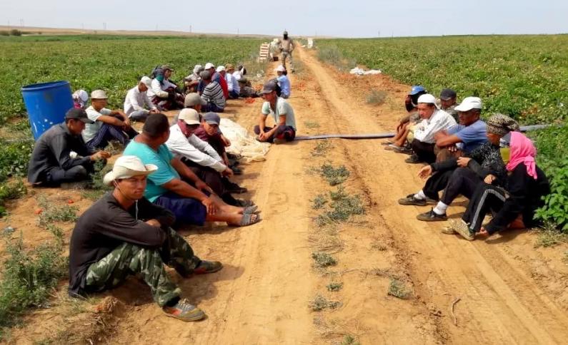 Иностранные рабочие, приезжающие в Астрахань, впервые стали зарабатывать больше 30 тысяч