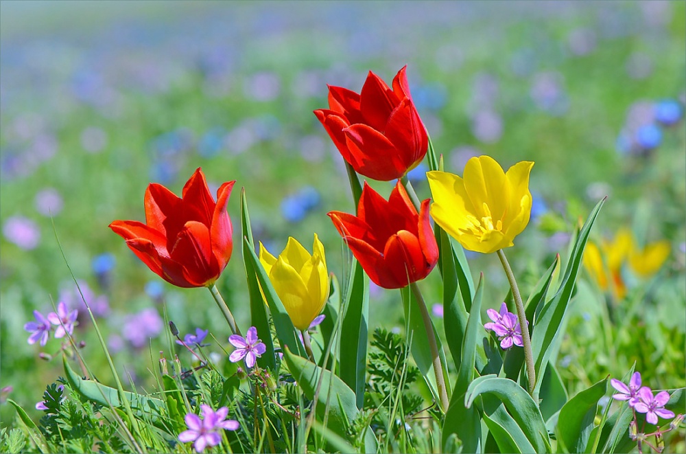 Астраханка подняла волну негатива из-за одной фотографии