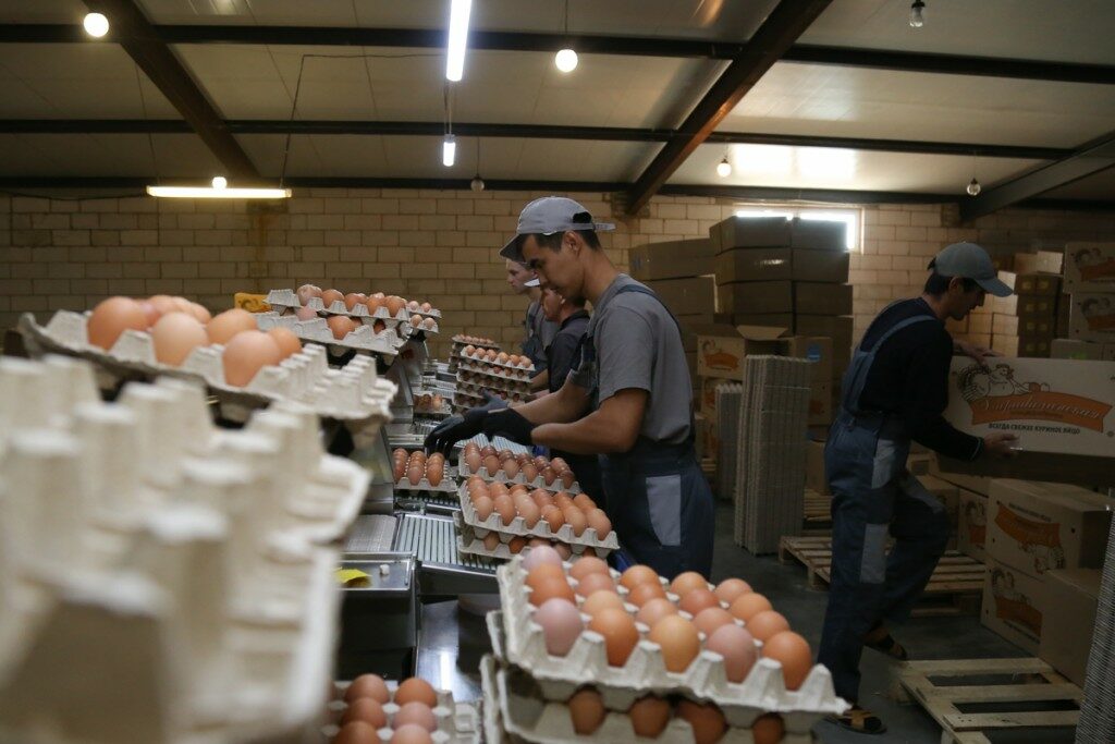 Экс-директор астраханской птицефабрики «Харабалинская» обвиняется в присвоении денег 