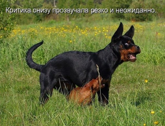 Астраханские эсеры vs. Константин Маркелов