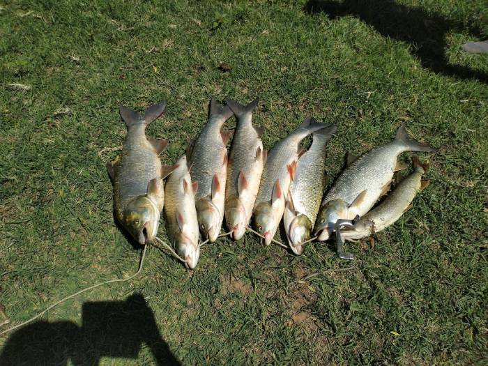 Нерестовый запрет окончен: астраханцы делятся фото первых трофеев