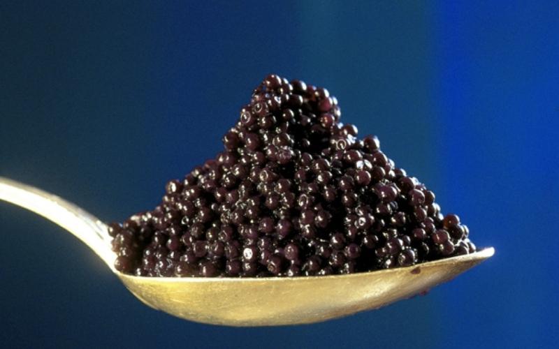 У астраханца изъяли 4,5 килограмма черной икры