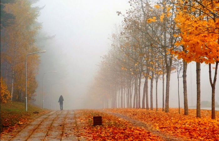 Суббота в Астраханской области будет пятничной копией. Разве что туман прибавится