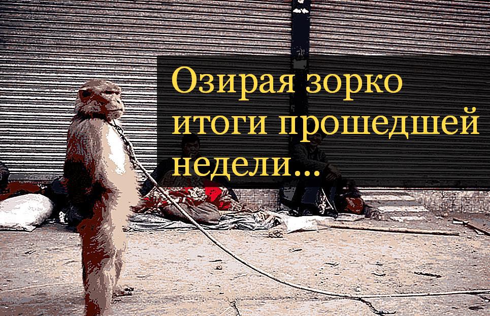 Не дельный обзор: Кто-то собирает комментарии, а кто-то валежник