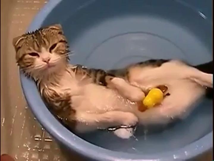 Завтра в Астрахани на неделю отключат горячую воду