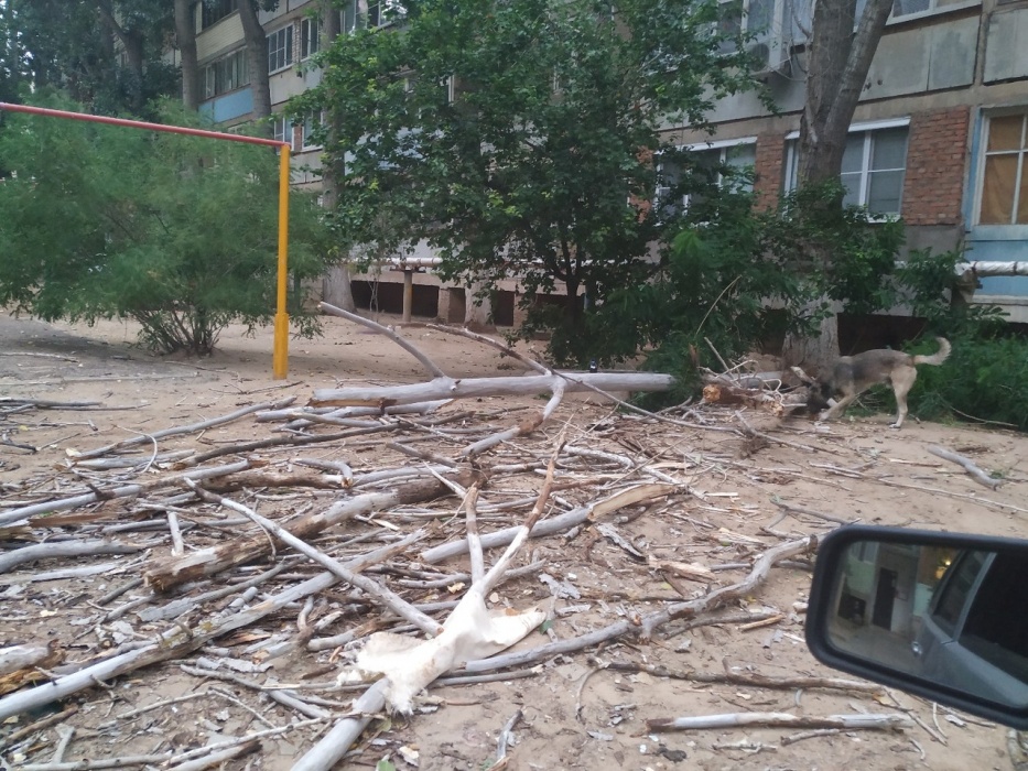 Бог отвел! В Астрахани на пресловутом месте рухнула огромная ветка