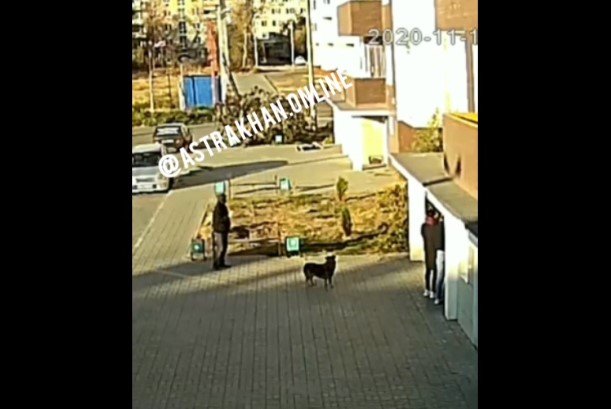 Астраханец выпал из окна и разбился насмерть на глазах у прохожих: видео