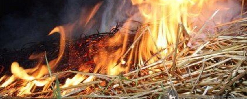 В Астраханской области по неосторожности спалили более ста тонн сена