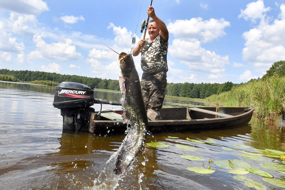 Приятная новость. Суточная норма вылова рыбы для Астрахани увеличена вдвое