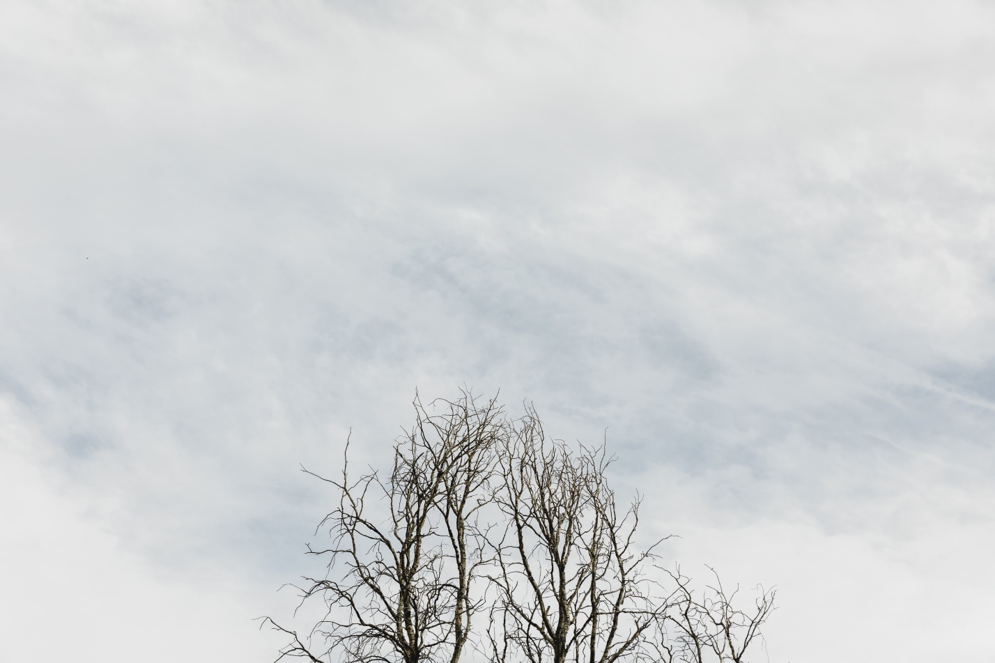 Серо, сыро, хмуро: типичная зима установилась в Астрахани