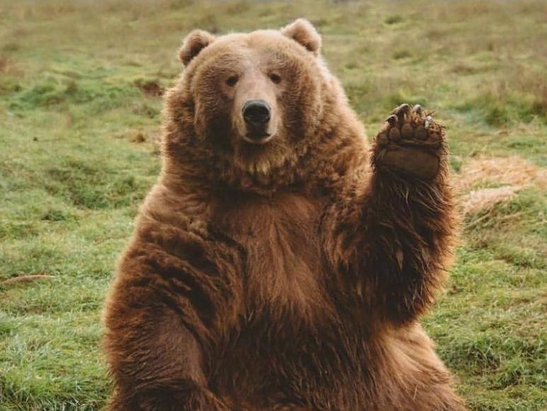 Астраханская «Единая Россия» перезагружается