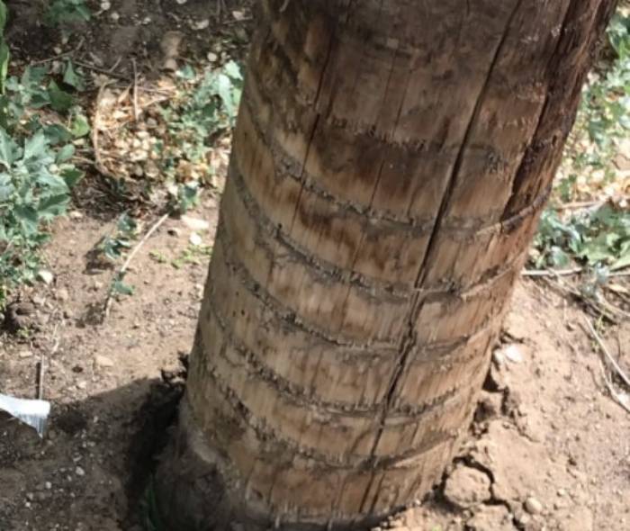 Астраханцы боятся электрического столба, который держится на добром слове возле школы