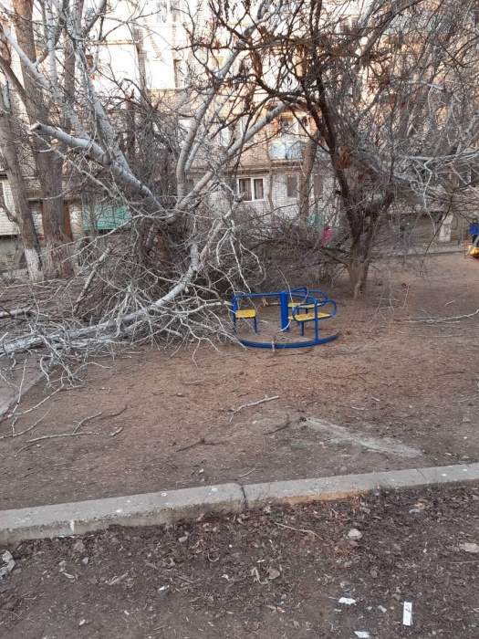 В Астрахани на детскую площадку упало огромное дерево, едва не задев детей