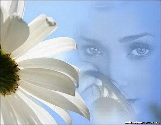 В Астраханской области отметят день ромашек