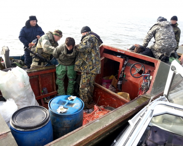 Новая перестрелка на Каспии: у задержанных браконьеров изъяли 155 килограмм осетра и морского тюленя