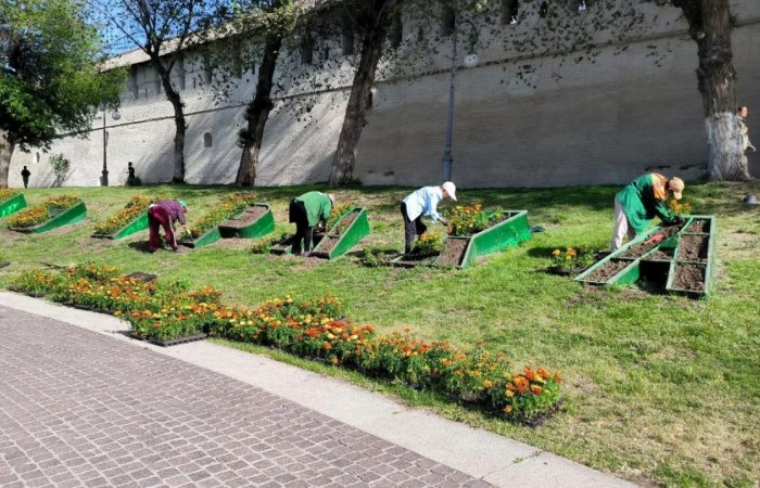 В Астрахани на улицы вышли косари и озеленители