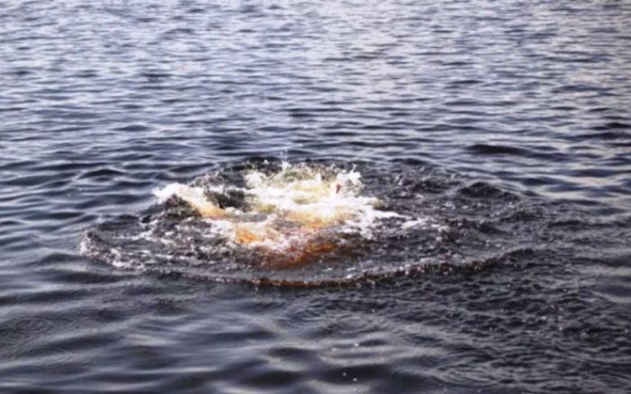 В дельте Волги нашли утонувшего 64-летнего астраханца