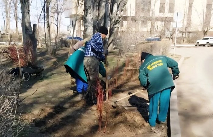 Еще два общественных пространства Астрахани получили «зеленый щит» 